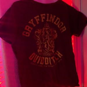 Harry Potter: Gryffindor Quidditch T-Shirt!